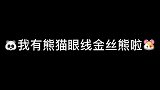 喜提一只熊猫眼线金丝熊