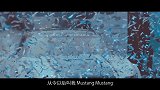 豆车一分钟：曾经名叫做野马，现在被迫叫Mustang，不爽