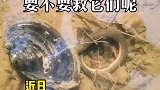 要不要救救他们呢