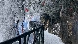 天门山好美的雾凇