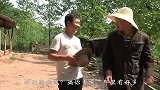 二哥吃“棕包炒腊肉”，味道独特，你吃过吗？