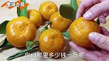 橘子皮扔了真可惜，加1块萝卜，原来作用这么大，教你变废为宝