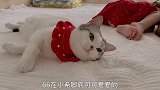 有些小可爱的出现就是为了治愈你，午睡的猫咪和孩子