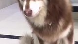 戏精一枚，打完针出去玩健步如飞