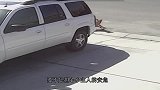 猫咪为保护主人安全，勇敢的和三头恶狼搏斗，镜头记录罕见画面