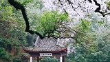 孤山登高处，最是寻悠然。
