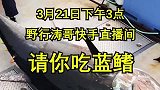 想吃蓝鳍大腹的，有没有？