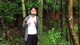 妹子冒着大雨山里取竹子佳酿，好大的雨好在有个盆