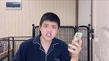 用生命为赌注的盲盒，你抽还是不抽
