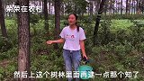 荣荣抓了很多知了猴，上集市摆摊卖了多少钱？这又多了一份收入