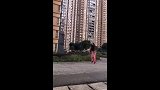 提剑丢垃圾姑娘是峨眉派传人：4岁练武，10岁加入峨眉派