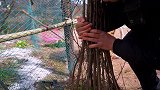 超小厨跟姐夫下地种树，弟妹下厨“野山药炖猪蹄”干活吃肉真带劲