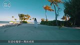 世界最惊险海岛，900多条鲨鱼随处可见，游客竟敢与鲨鱼互动