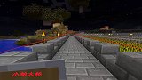 我的世界联机24：小帕造了一座通往迪哥家的桥，方便保护迪哥