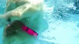 狗狗都会潜泳了