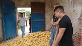 农村搞笑段子：笑啥？这不是没耽误事吗！