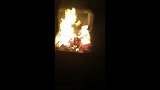 篮球-17年-德加盟公牛 热火球迷烧球衣-专题