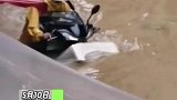 湖南永州：外卖小哥水淹半身艰难送餐，负重前行请注意安全