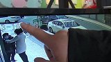 江苏一女子盗窃高端宠物猫 被抓时正在家撸猫：谎称捡的