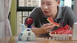 叫我僵小鱼：小鱼要变成西瓜，粑粑竟然想把小鱼吃了