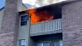 揪心！大火吞噬公寓一家三口被困 母亲将3岁儿抛下楼后葬身火海