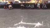 井盖“跳舞”宛如火锅沸腾！荆州暴雨致城区一夜间开启看海模式