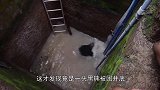 黑熊不慎坠入水井，村民给它递了一架梯子，直接秀起了操作！