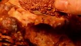 美食面前无“绿茶”，这一整只扒鸡，都只吃开胃菜！