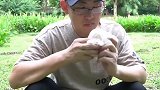生活都不容易，珍惜眼前人！