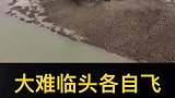 挖机干活遇到流沙怎么办？有什么方法脱困？