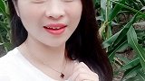为何我的真心你总不能体会