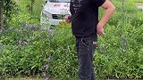 你是要荒野求生吗，还走绿色通道