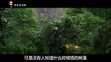 原著击败了《三体》的科幻片终于来了,看完真的让我怀疑人生!