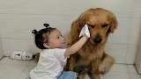 萌娃帮狗狗擦脸，狗狗超级配合一动不动，太可爱了！