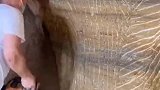地窖建设，竟能直接在墙壁上凿出柱子和纹路，长见识了