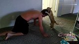 主人在做俯卧撑，猫咪在一旁捣乱，抱着主人的头是给主人施压吗