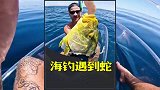 男人海钓大鱼，拉上来却只剩鱼头！