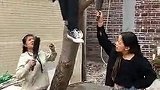 她是神经病啊，她真的会砍树！