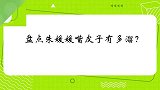 朱媛媛嘴皮子有多溜在剧组讲了一天的段子，张国立让人把她架走