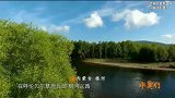 来自少数民族的罕见美味：鄂温克族人采摘野生蓝莓，手工制作果酱