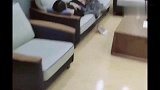 女老板在办公室休息，不料小伙趁机下手，结局太搞笑了！