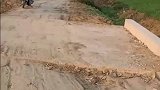 收工回家路上看到桥边路面下陷，热心挖机师傅义务将路面修好