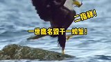 沙雕就是沙雕，吃螃蟹差点被螃蟹反杀