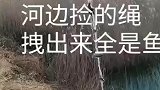 河边捡的绳子，拉上来全是鱼