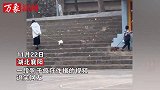 狗狗疯狂作揖求爱惨遭无视，主人表情一脸淡漠这就是舔狗吗