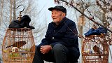 平均寿命80岁以上！在北京上海这样的大城市，长寿秘诀是什么？