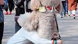 抱抱我的城