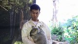 综合-17年-抱考拉+逗袋鼠 众星黄金海岸动物园走一走-专题