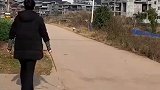 猝不及防的瞬间哈哈