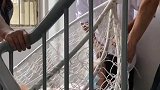 女子生产完回家，被家人们有爱团宠